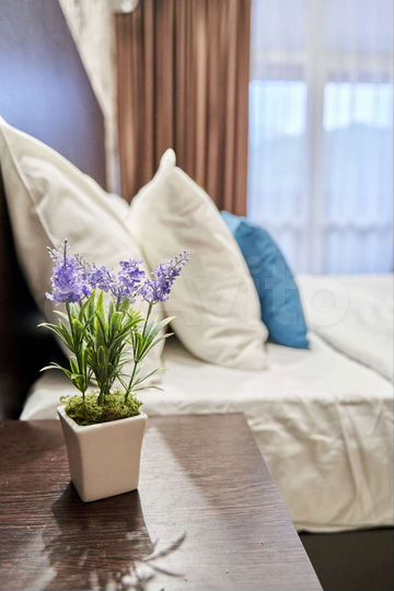 Квартира-студия, 33 м², 2/4 эт.