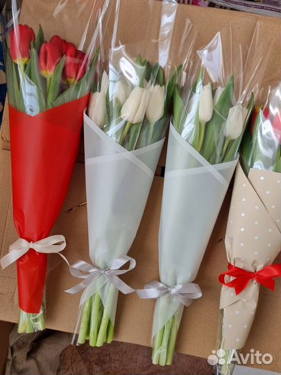 Тюльпаны к 8 марта букеты розница воронеж