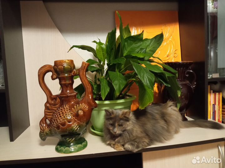 Куманец, кувшин, плескач, квасник