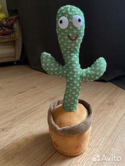Поющий кактус