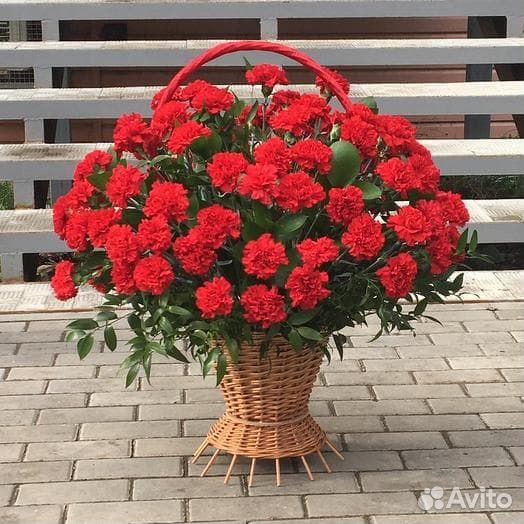 Цветы корзины