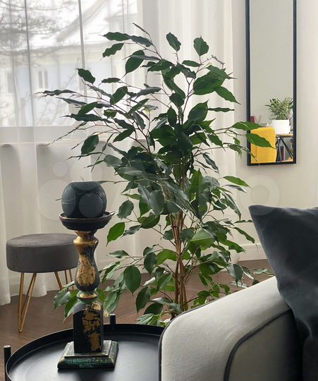 2-к. квартира, 70 м², 3/4 эт.