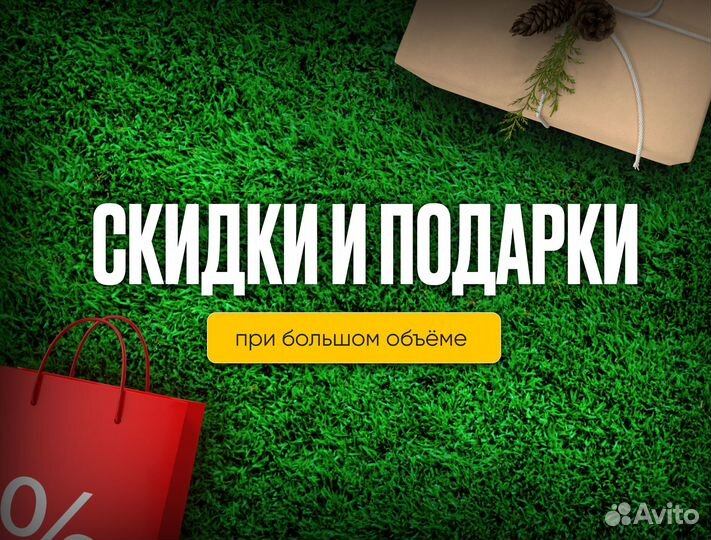 Семена газонной травы