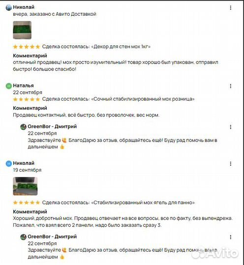 Вечно зеленый мох для дизайна эко панно кашпо