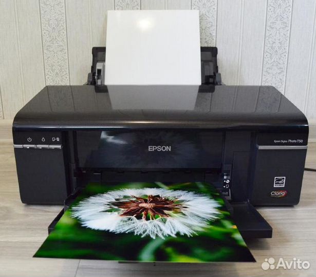 Принтер Epson Stylus Photo Р-50 c снпч струйный