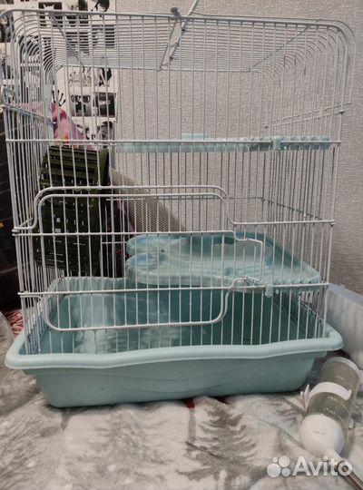 Комплект для грызуна