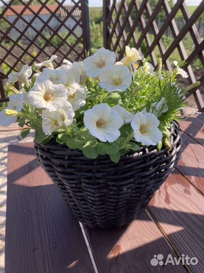 Кашпо из ротанга