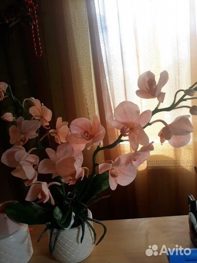 Фарфоровые статуэтки