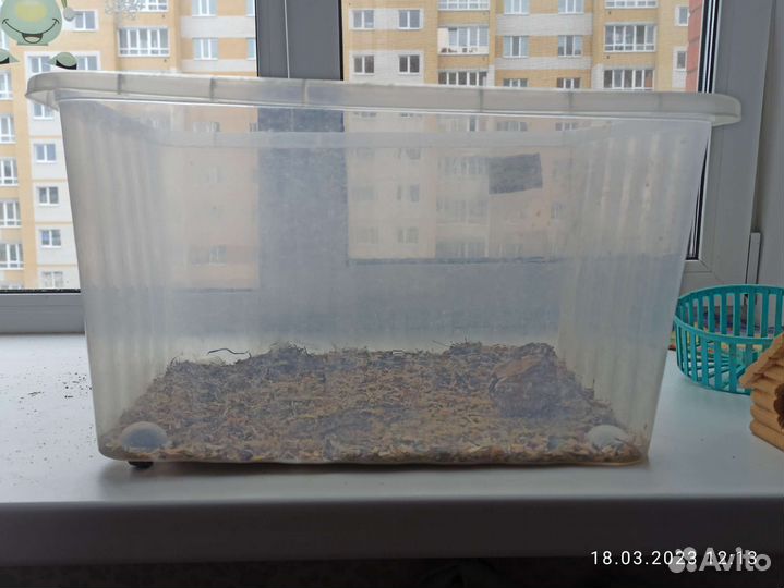 Контейнер пластиковый