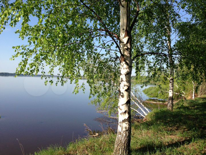 Участок 15 сот. (ИЖС)