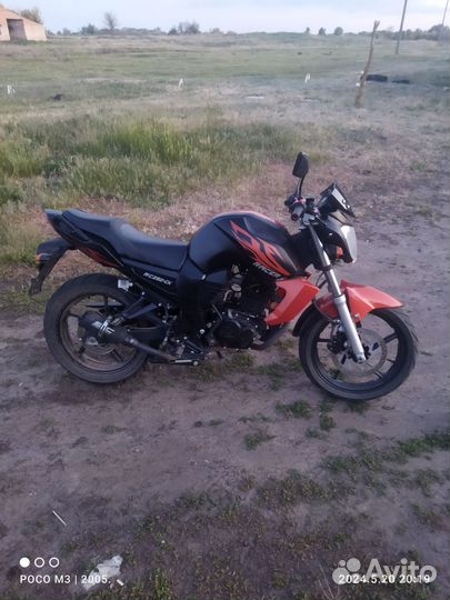 Рейсер нитро 250