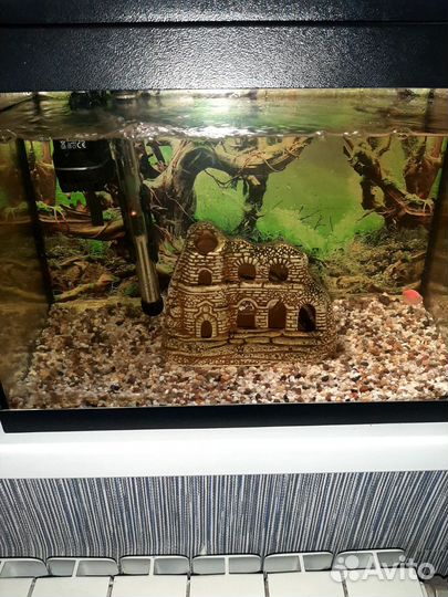 Аквариум