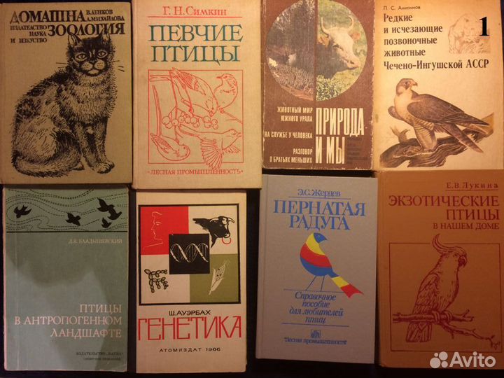 Книги: природа, птицы, животные