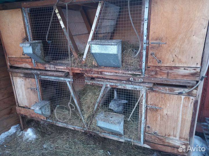 Клетка для кроликов 4 отсека