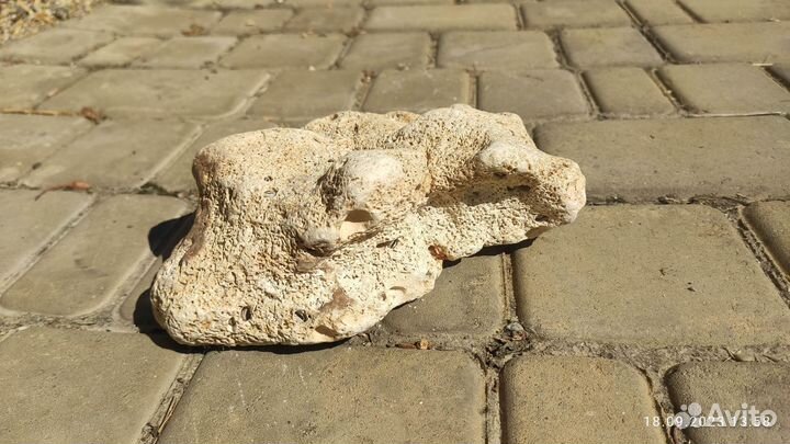 Декоративный камень