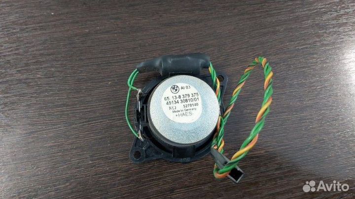 Динамик Bmw X5 E53