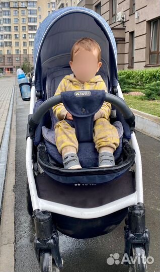 Коляска tutis zippy orbit 2 в 1