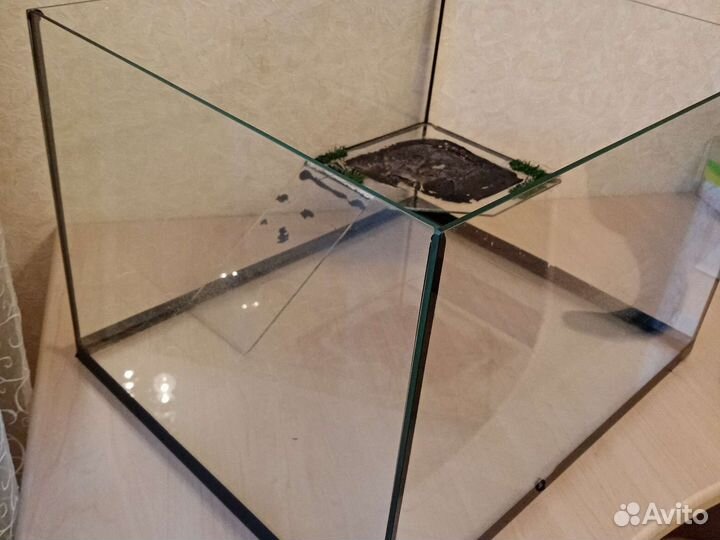 Черепашник