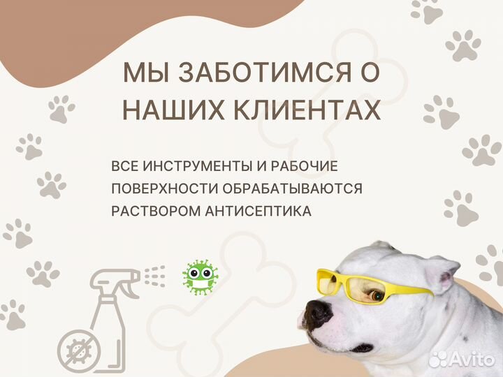 Груминг стрижка собак и кошек