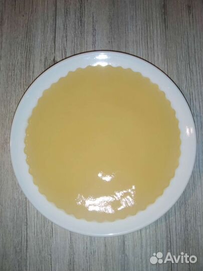 Чайный гриб