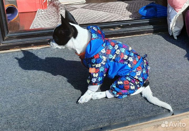 Комбинезон для собак