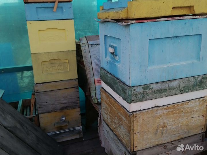 Инструмент пчеловода, сушь, рамки