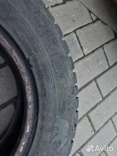 Gislaved Nord Frost 5 175/70 R13 82T