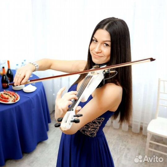 Скрипка на праздник, музыкант
