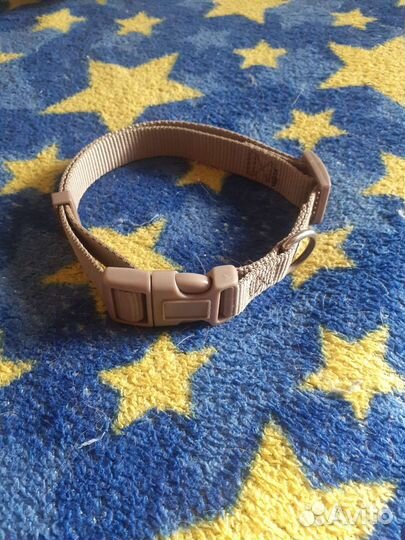 Миска, шлейка и ошейник