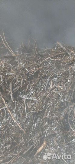 Корм и удобрение из пропаренных пихтовых веток