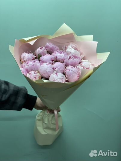 Пионы Галанский