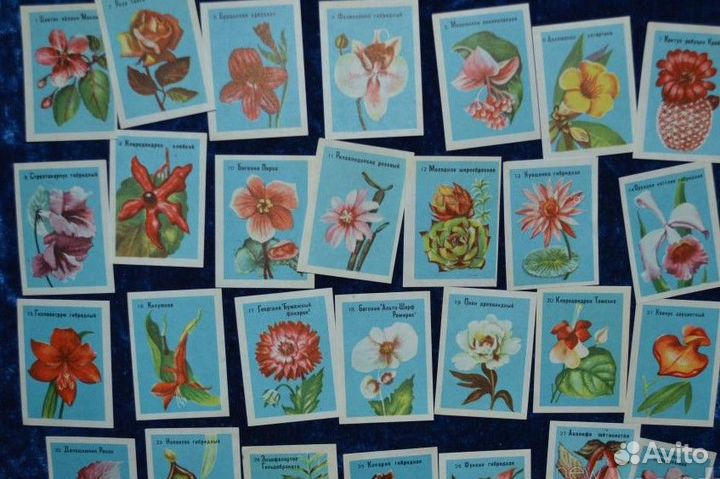 Наборы спичечных этикеток СССР новые