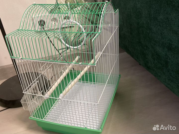 Клетка для попугая