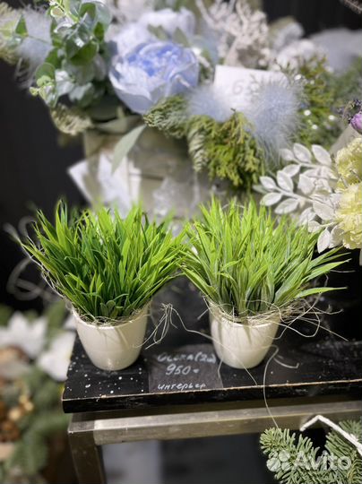 Чудесная эко зелень