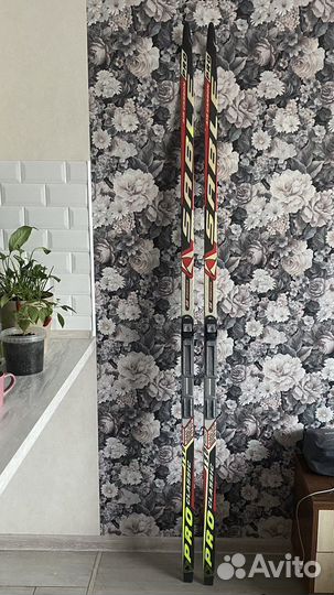 Беговые лыжи