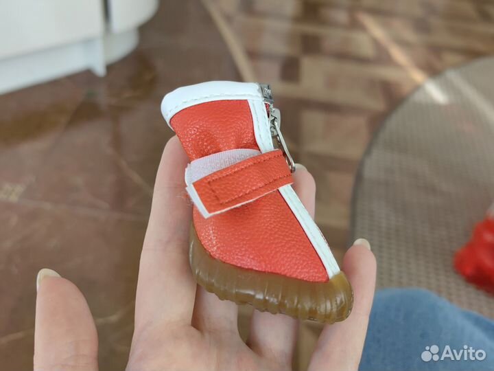 Ботинки для маленьких собак