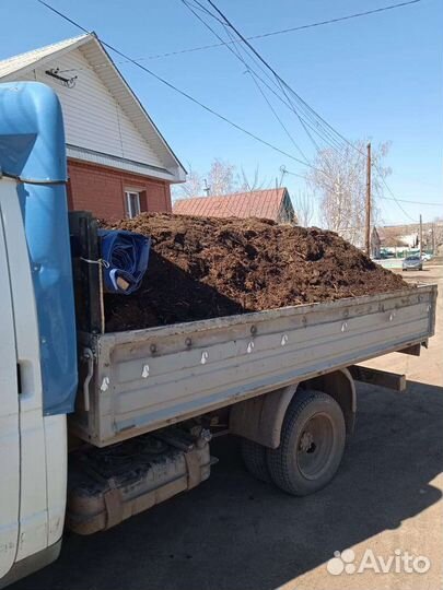 Перегной новоз