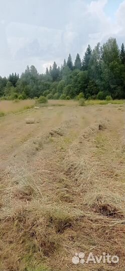 Сено в рулонах