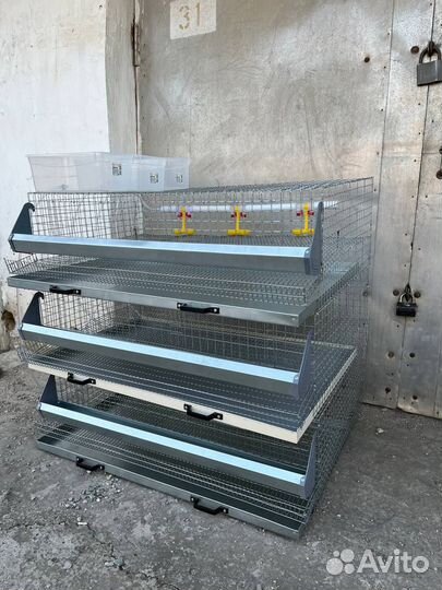 Ферма до 150 голов