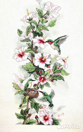 Колибри и клематис