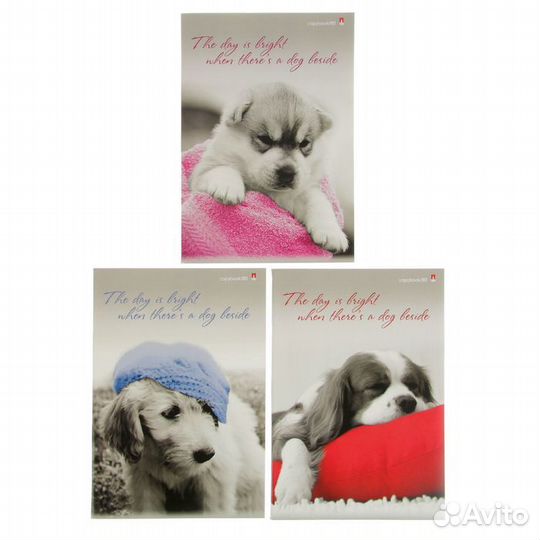 Тетрадь А4, 80 листов в клетку 