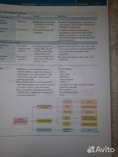 First Aid for the usmle Step 1, 2 2023