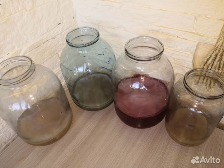 Чайный Гриб Комбуча