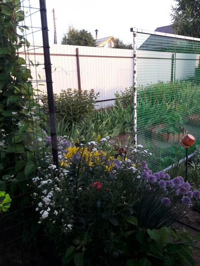 Участок 4 сот. (СНТ, ДНП)