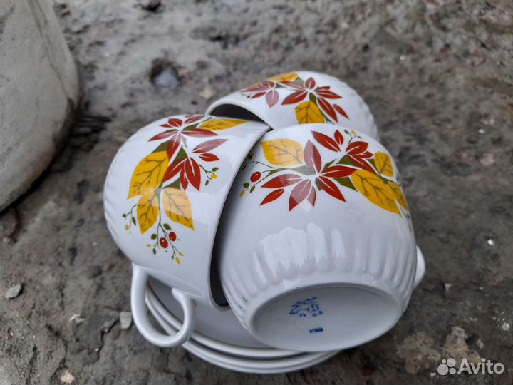 Сервиз Вербилки