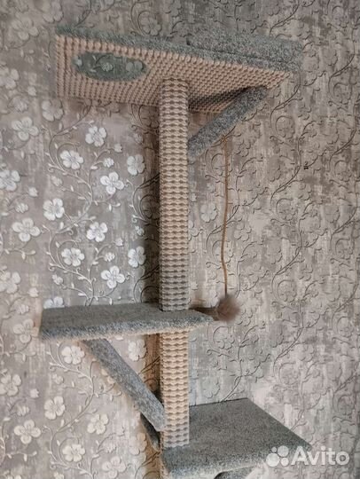 Столбик когтеточка