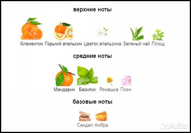 Стойкие духи Aqua Allegoria