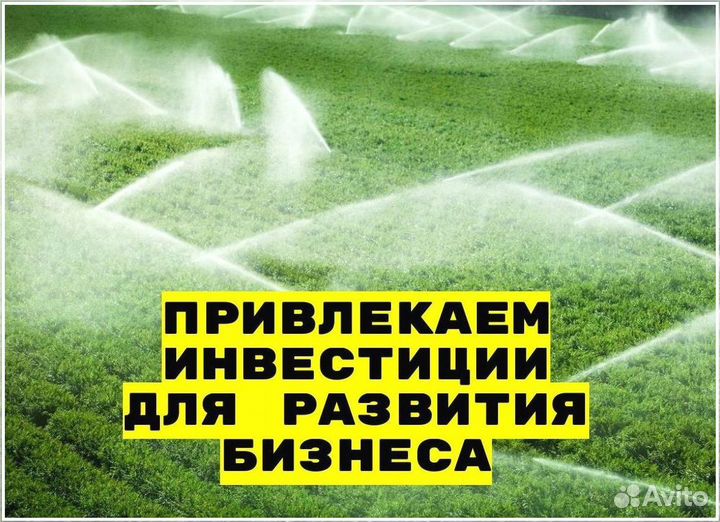 Привлекаем инвестиции до 50 проц годовых