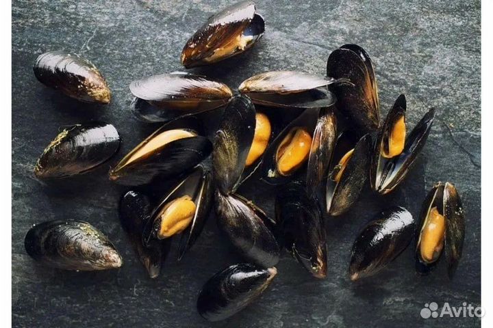 Мидии в раковине