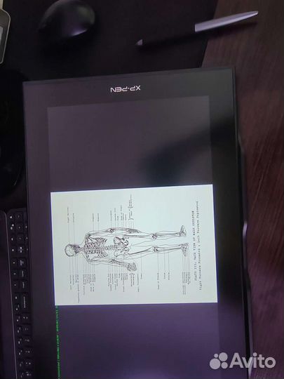 Графический планшет xp pen innovator 16